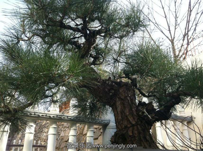 QQͼƬ20140105163351.jpg