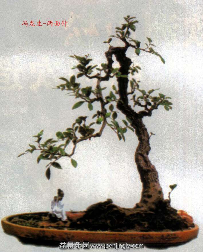 --ľ03-12.jpg
