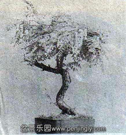 Ļ-̻辰 .jpg