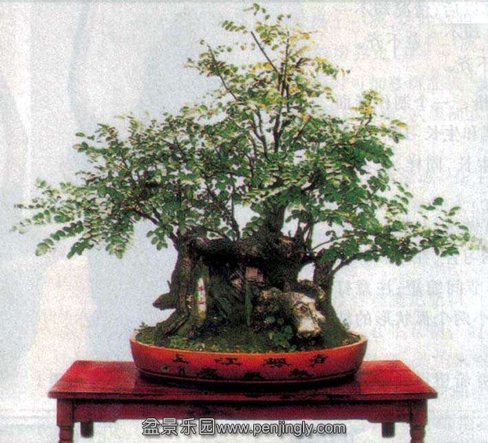 ֮-辰-07-2 .jpg
