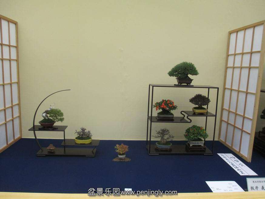 IMG_4063.JPG