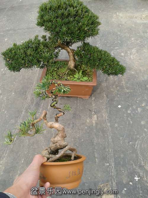 2014-01-13 13.24.13.jpg