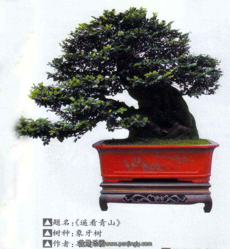 ᯽-ľ2012-5  2.jpg