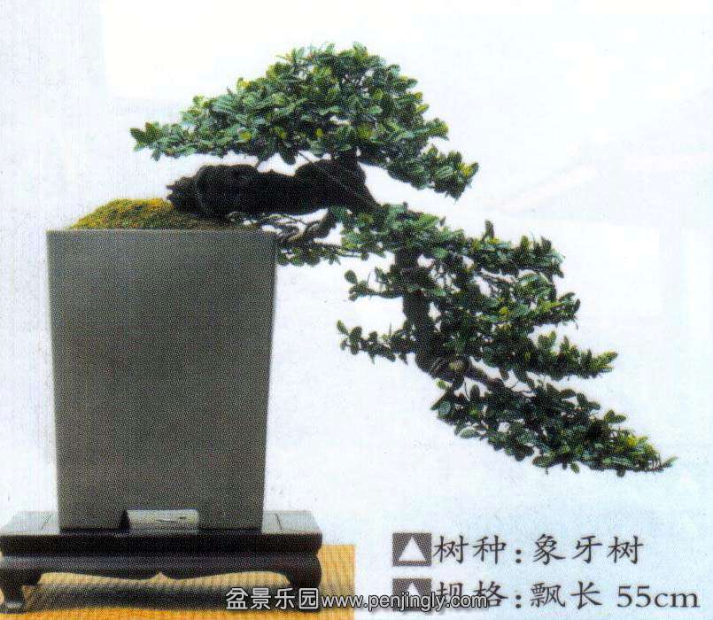 ¸-.jpg