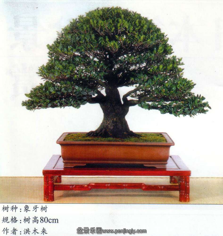 ̨-ľ-2.jpg