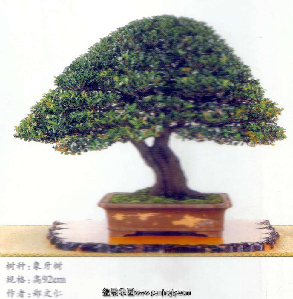 ̨-֣-.jpg