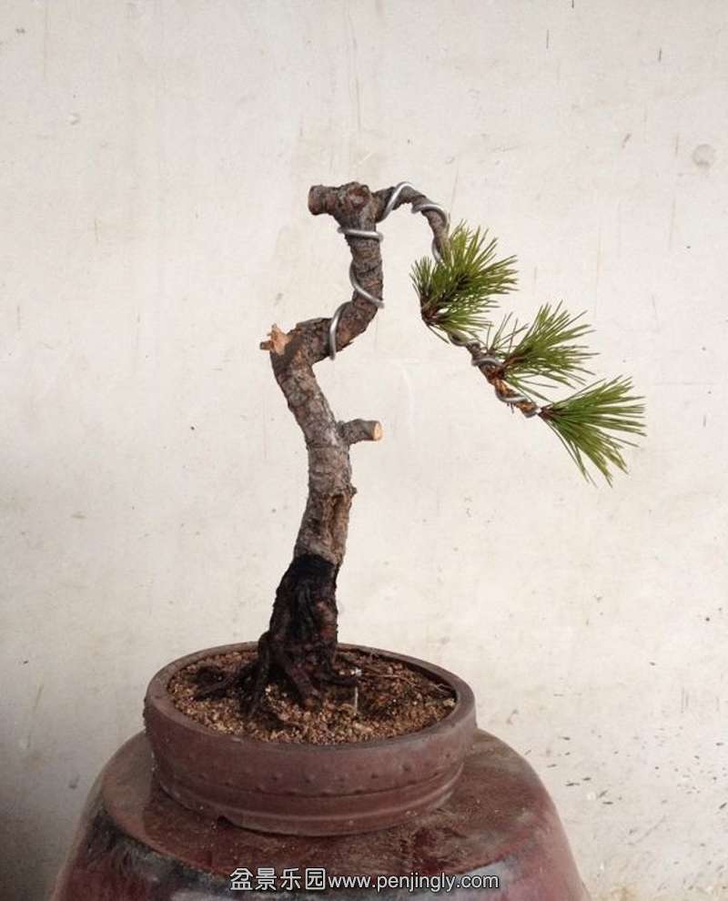 QQͼƬ20140114171902.jpg