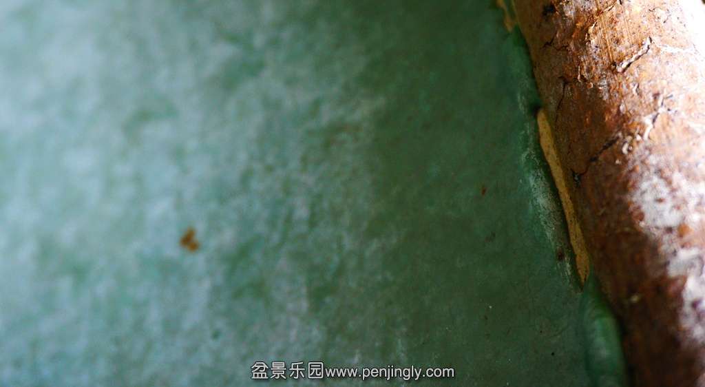 DSC01177.JPG