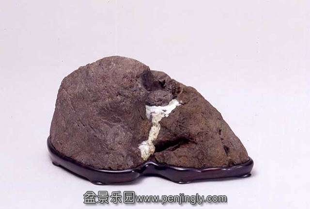 taki2.jpg