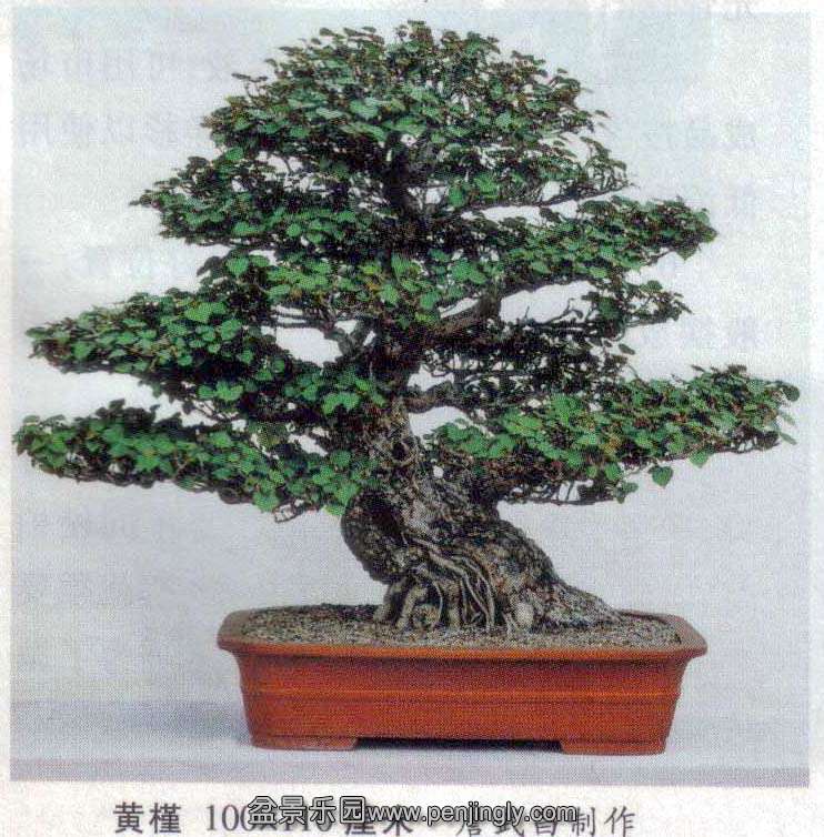 辰-ղ-.jpg
