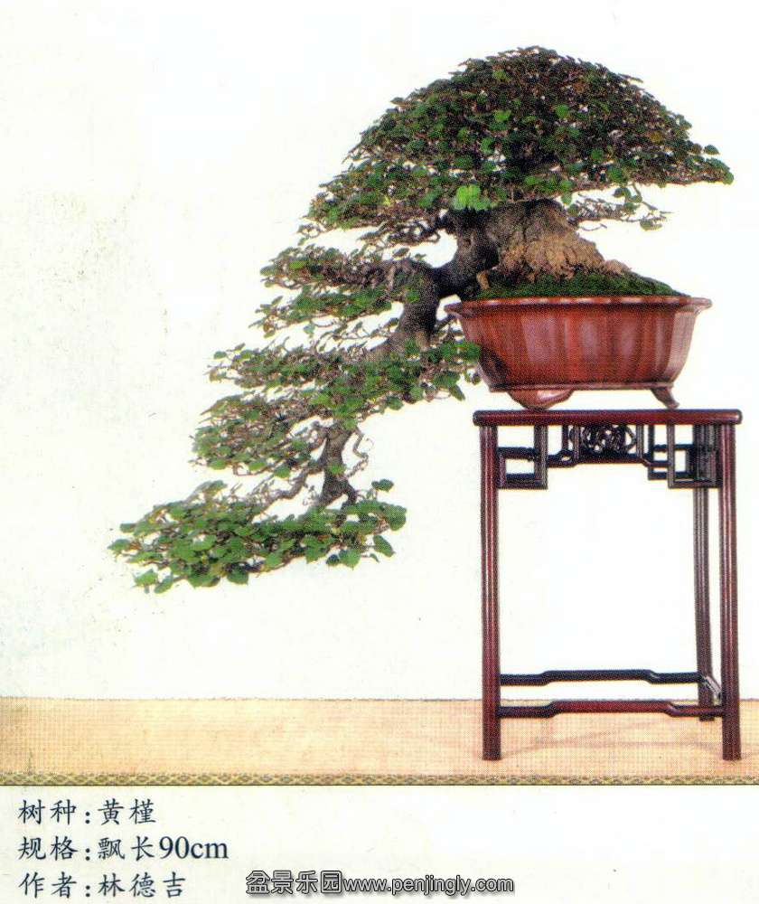 ̨-ֵ¼-.jpg