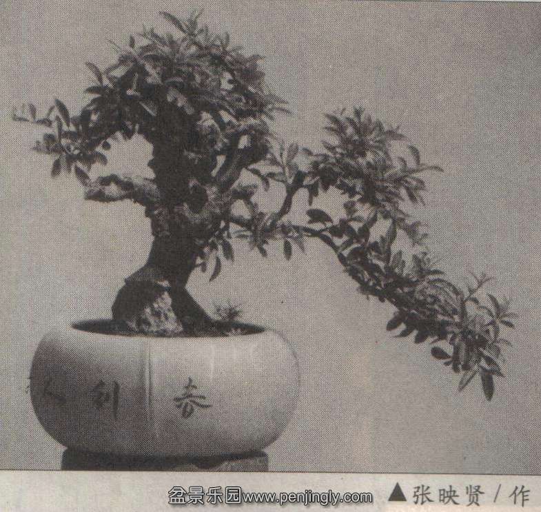ӳ-ʯ÷-ޡľ01-8  2.jpg