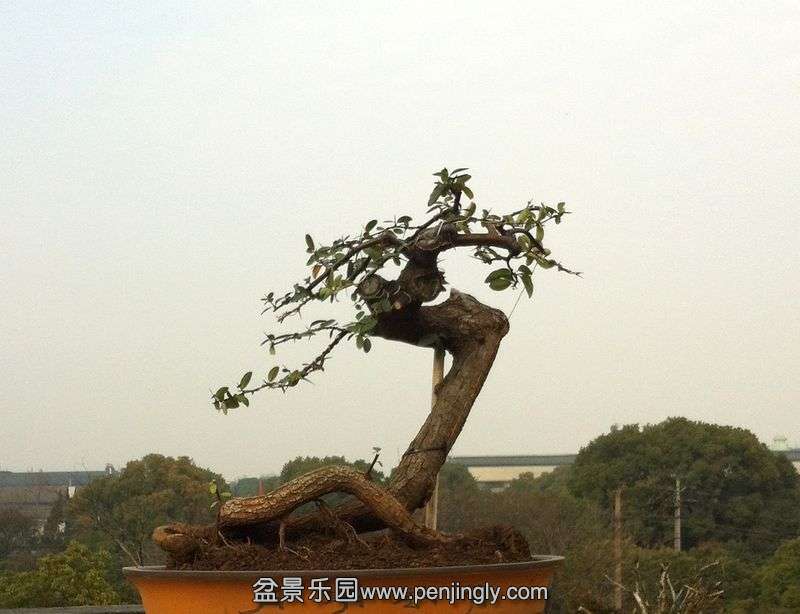 Ƭ 054.jpg