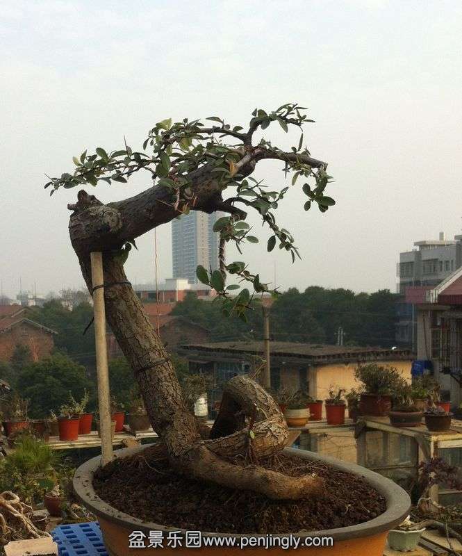Ƭ 057.jpg