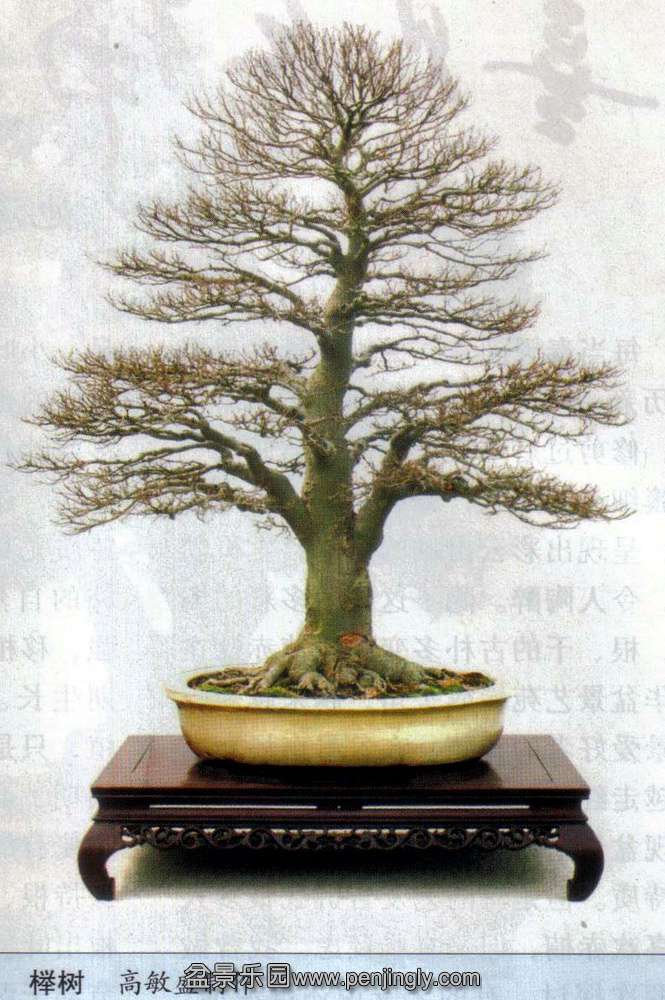 ݺϿչ-ʢ-.jpg