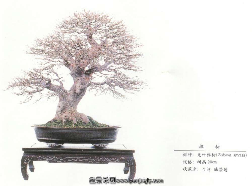 ³硶.jpg