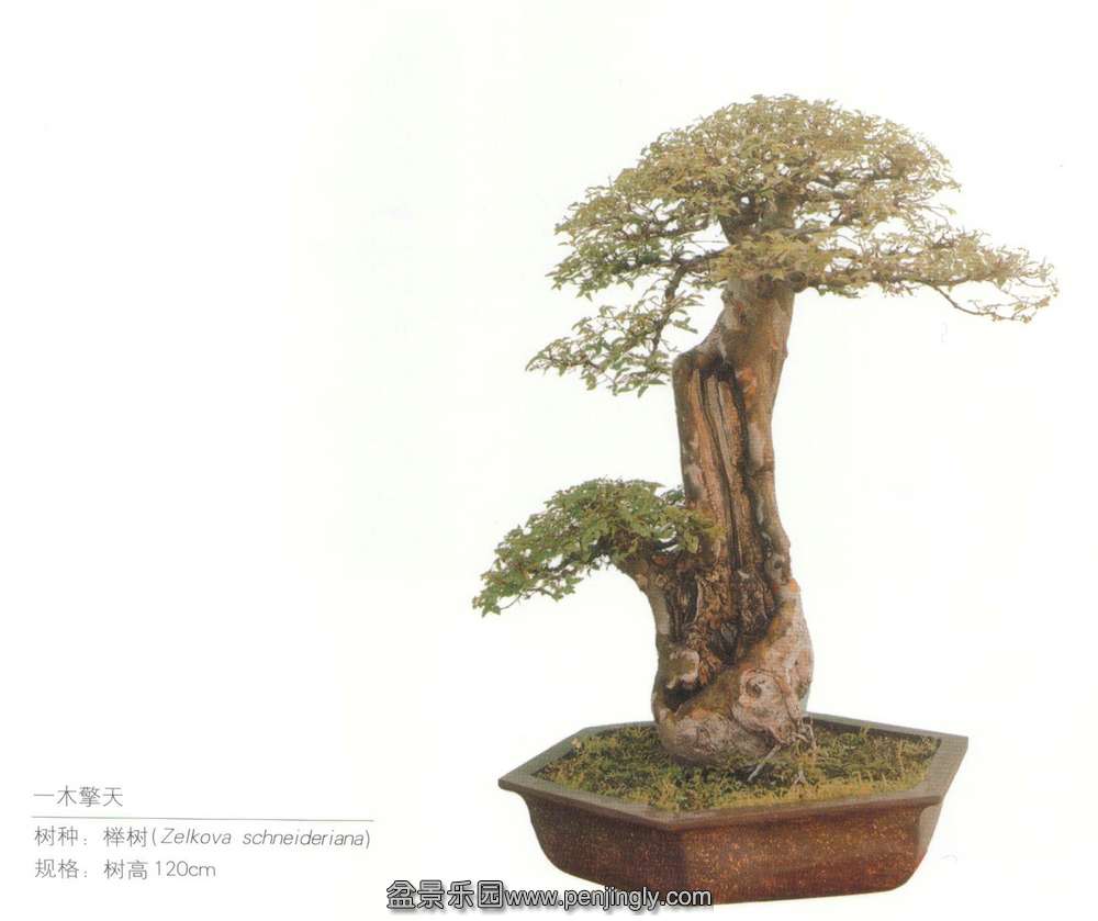 ۡһľ졷.jpg