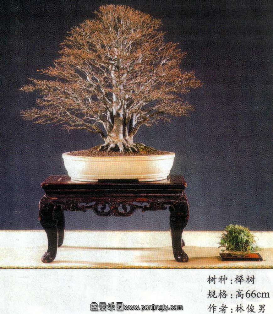 ̨-ֿ-.jpg