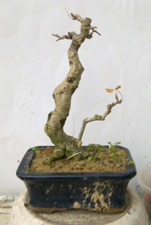 201401061891.jpg