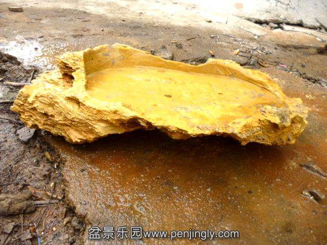 �����ع� P1030656.JPG