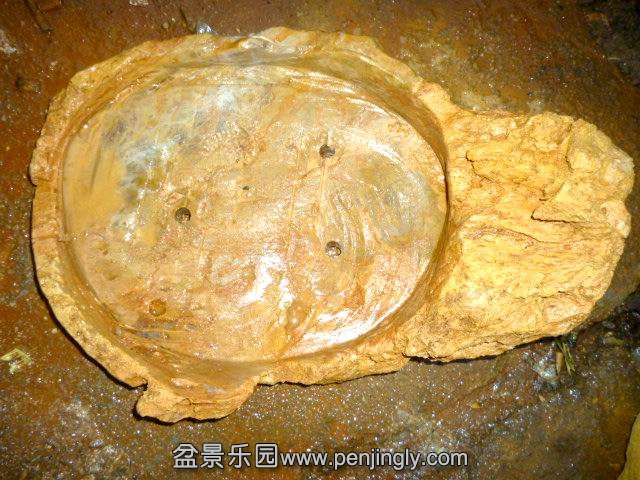 �����ع� P1030659.JPG