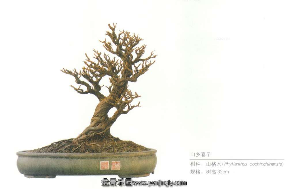 Ҷӡɽ紺硷ɽľ.jpg