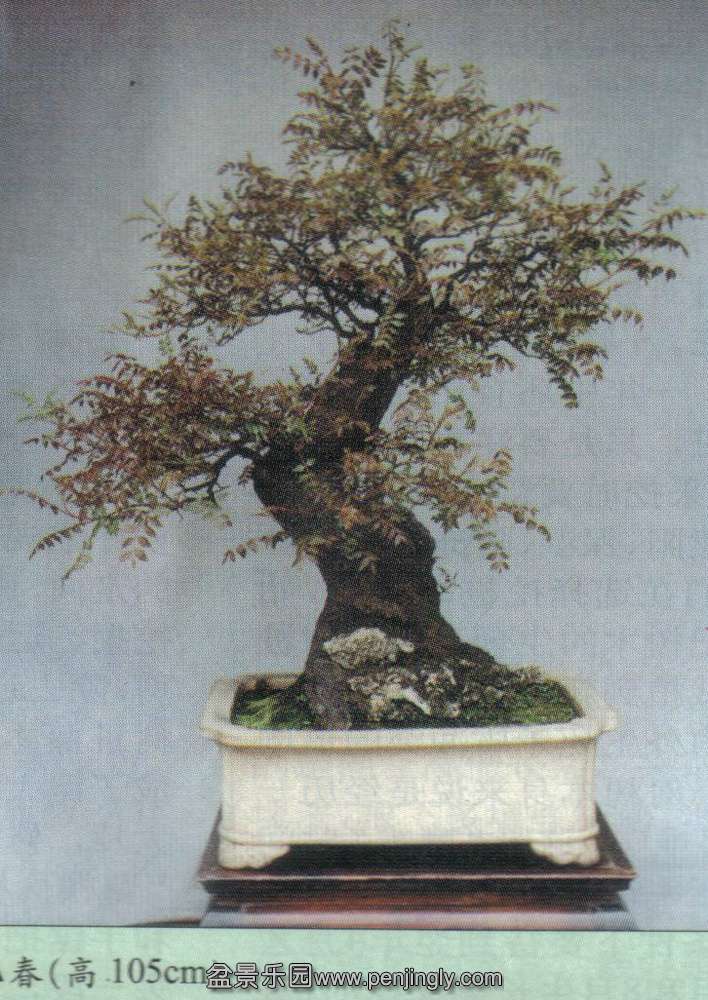 Ļ-ľľ01-2  4.jpg