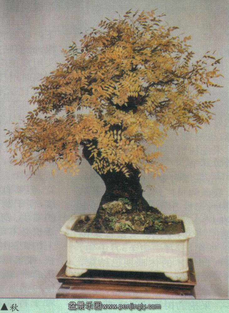 Ļ-ľľ01-2 .jpg