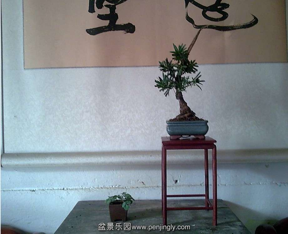 QQͼƬ20140118123323.jpg