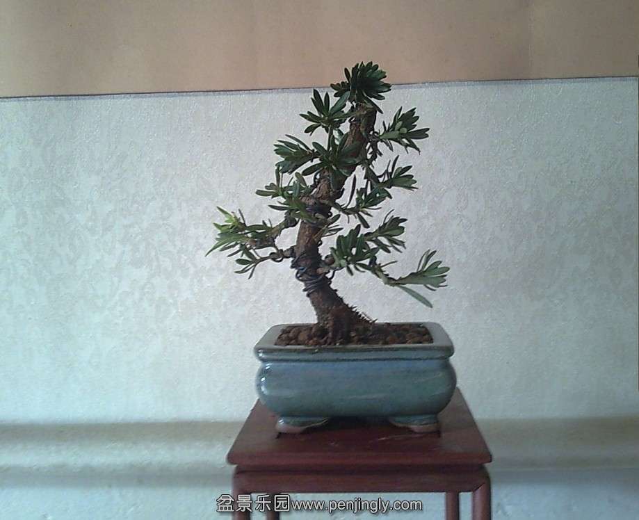 QQͼƬ20140118123409.jpg