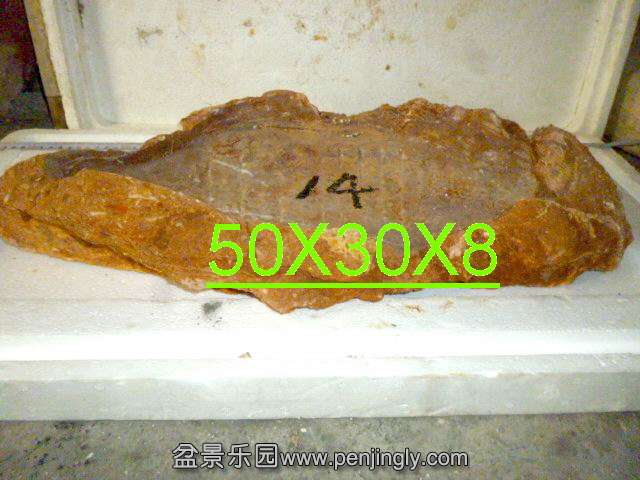 ع P1030625.JPG