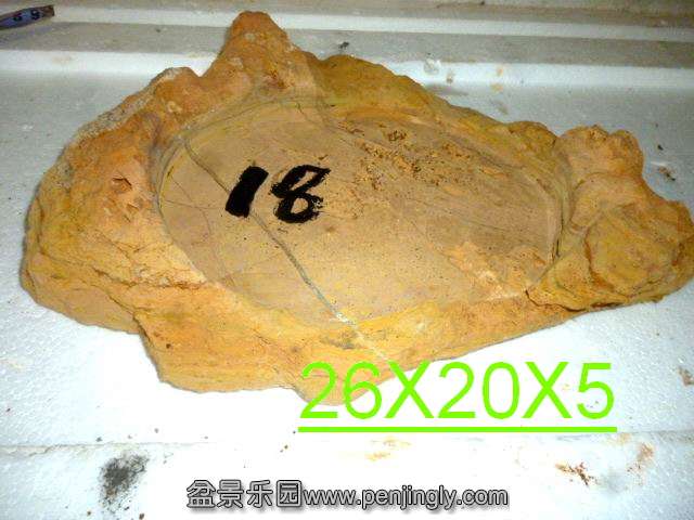 ع P1030629.JPG