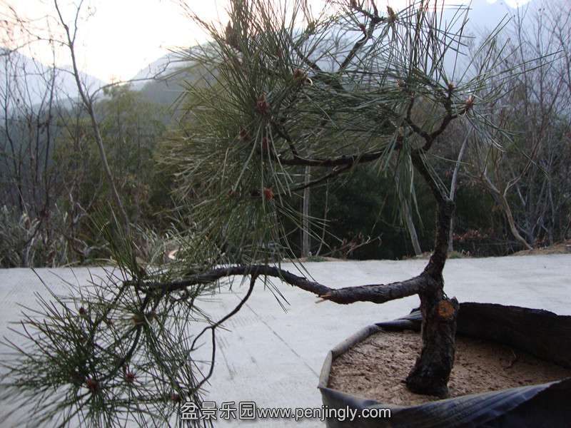 DSC01974_.jpg