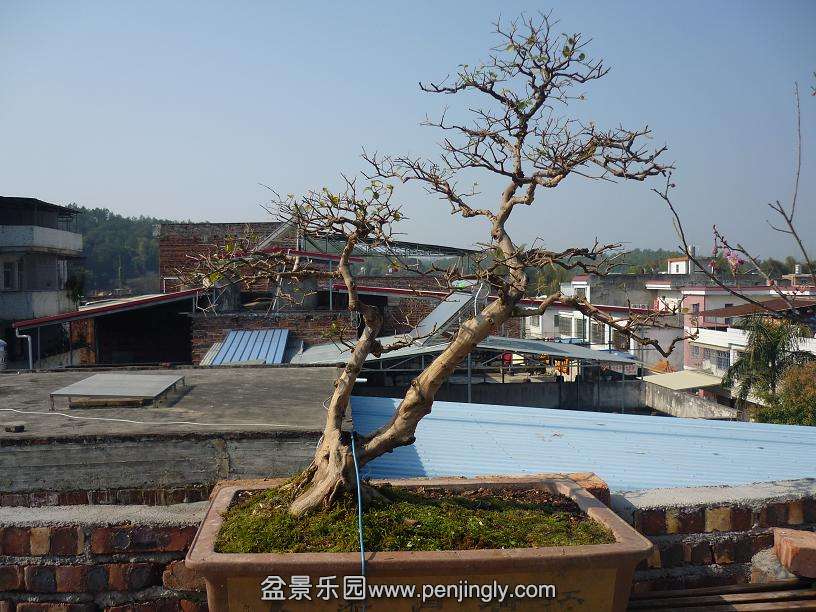 P1010846.JPG