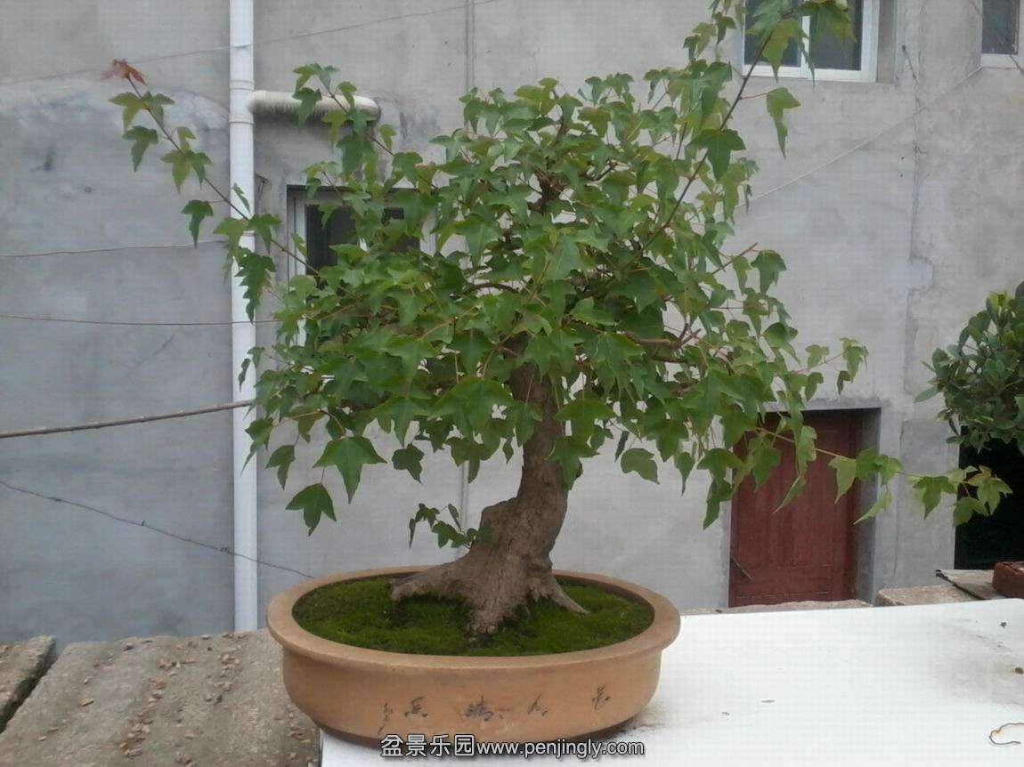 С Ƭ0568.jpg