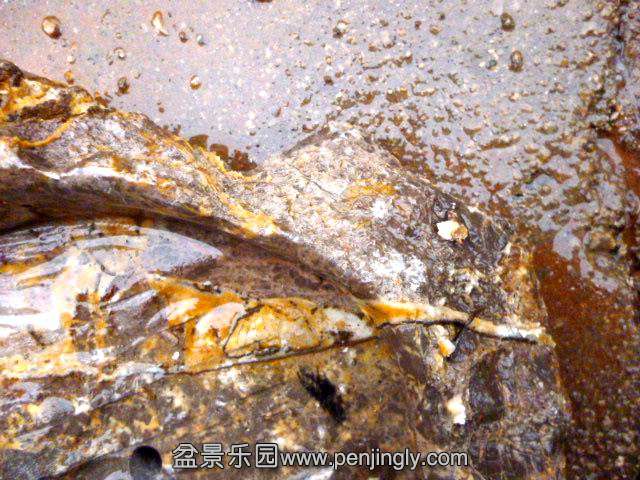 �����ع� P1030681.JPG