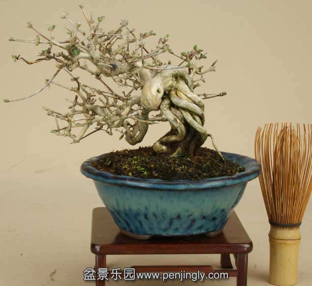 img61635776.jpg