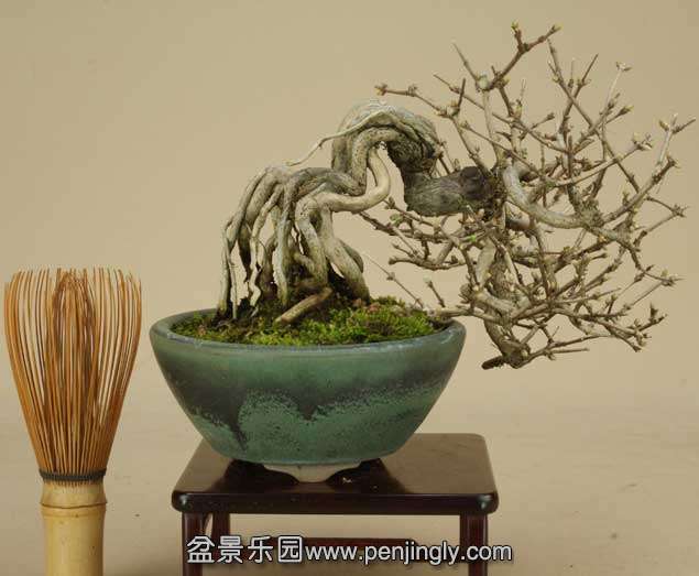 img61635804.jpg