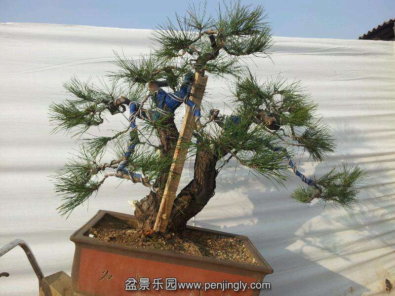 rps20140119_192422.jpg