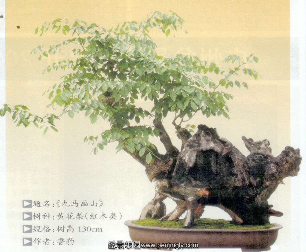 ³-ƻ 2.jpg