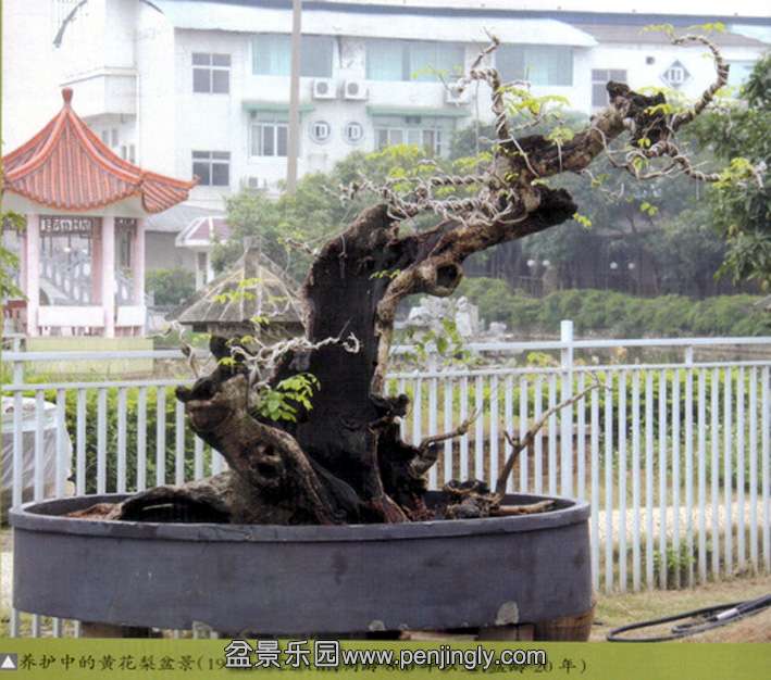 ³-ƻ桶ľ2013-1 .jpg