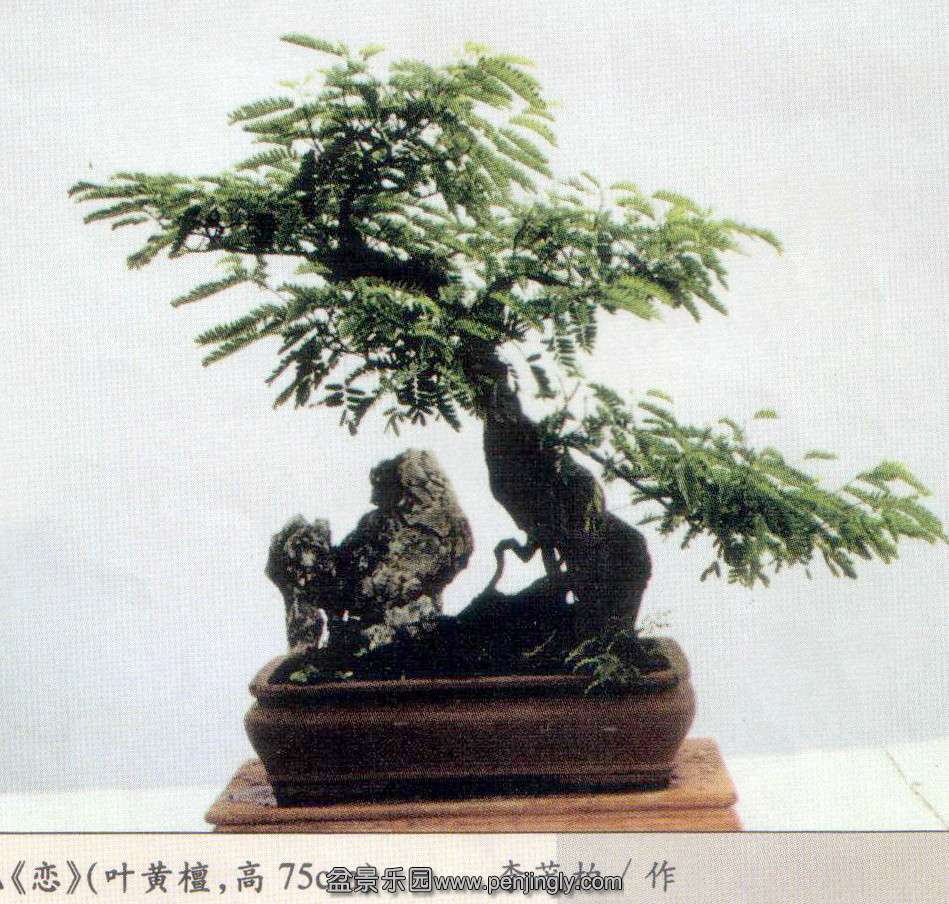 辰 -ï-Ҷ̴.jpg