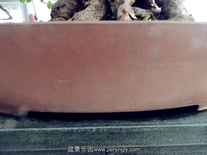 DSCN3469_.jpg