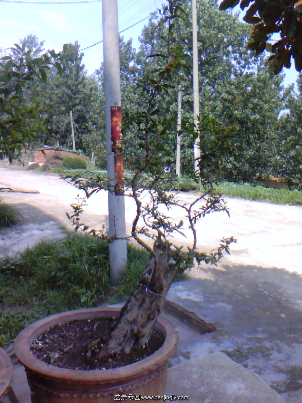 IMG_Ali_00007.jpg