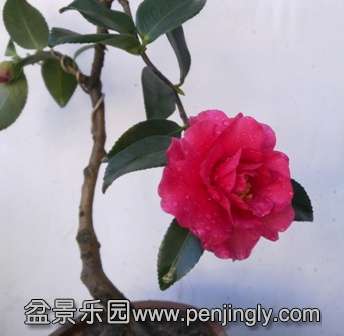 201401211971.jpg