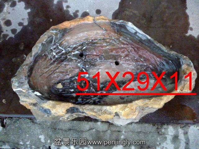 ع P1030697.JPG
