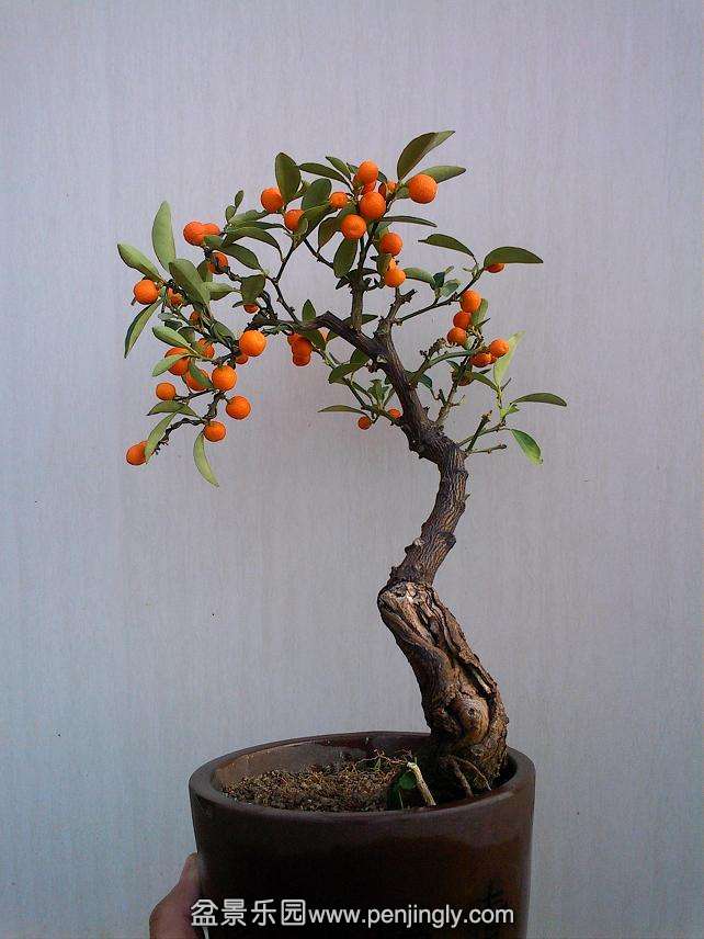 IMG0119160900.jpg