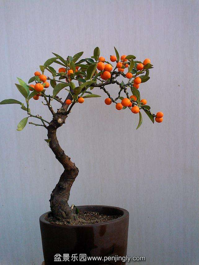 IMG0119161100.jpg