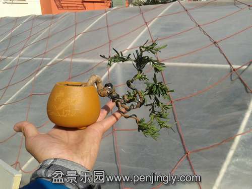 2014-01-23 13.14.28.jpg