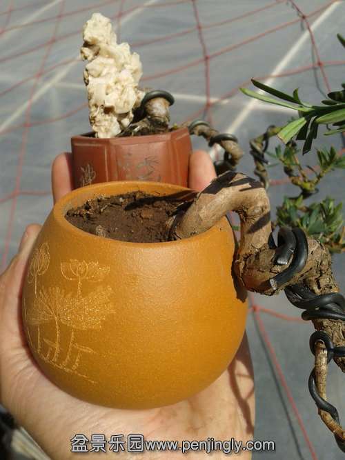 2014-01-23 13.17.47.jpg